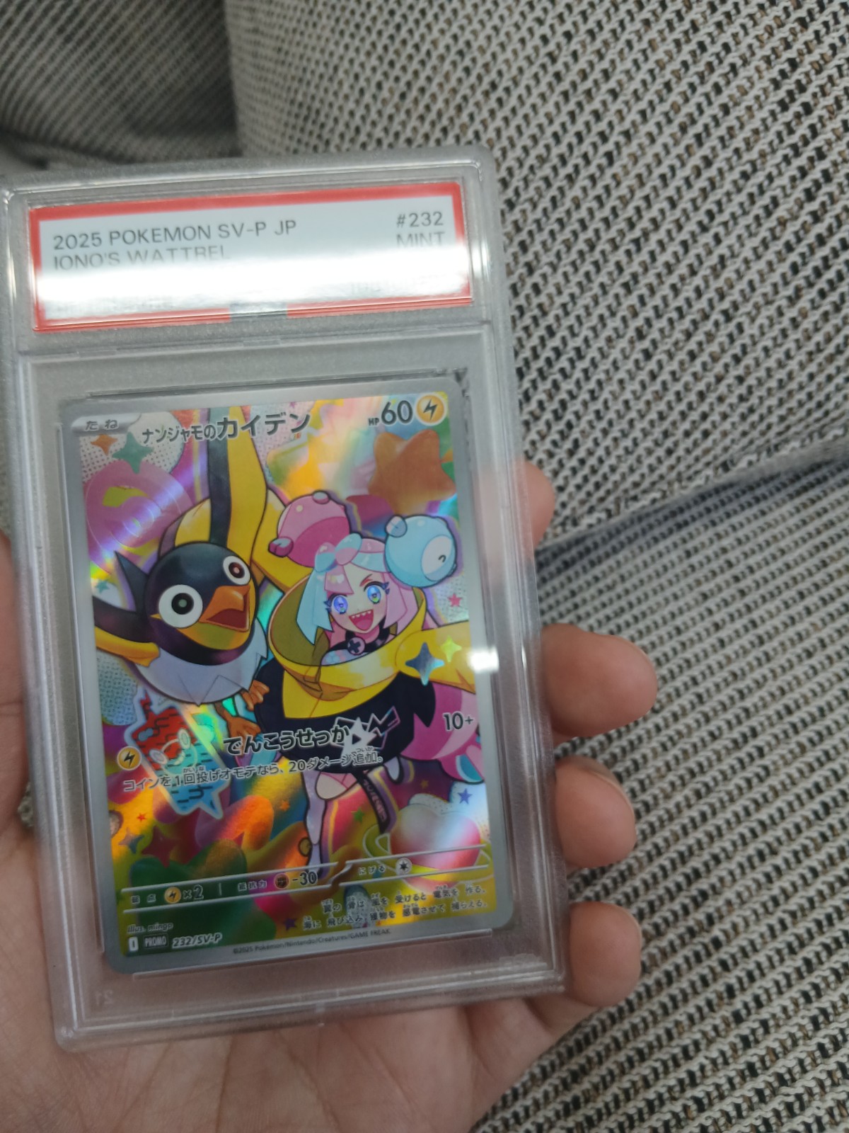 当たり枠 ナンジャモのカイデン PSA10